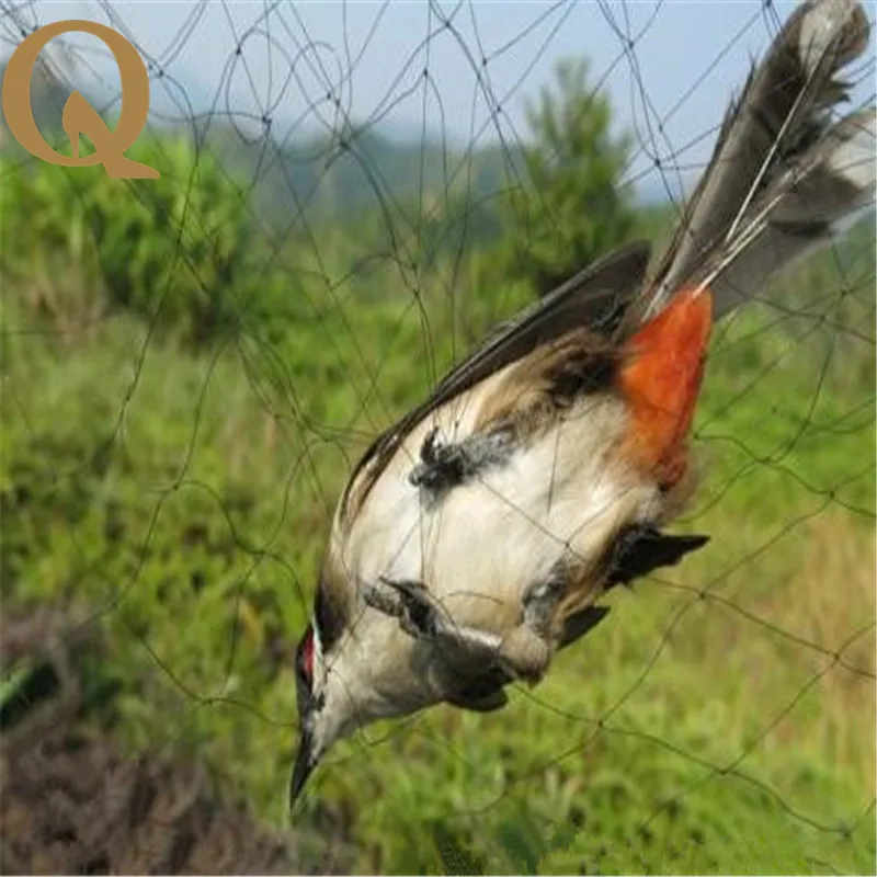 Special offer! Protect vegetable net net prevent birds ...