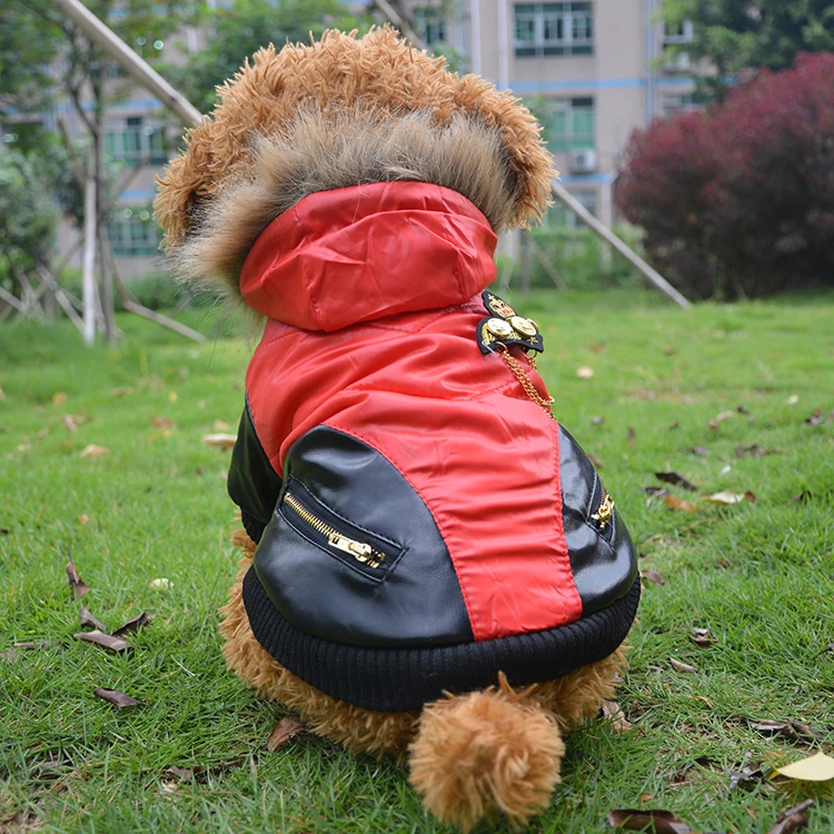 dog flying jacket