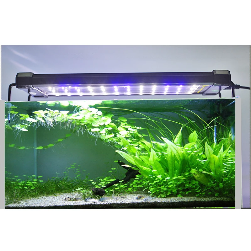 aquarium lights (4)