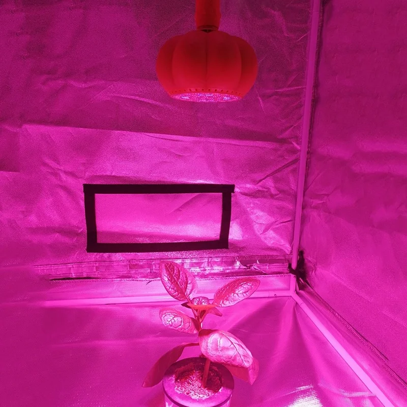 Светодиодная лампа для выращивания растений в форме тыквы с держателем лампы E26 для гидропонных органических почв водных комнатных
