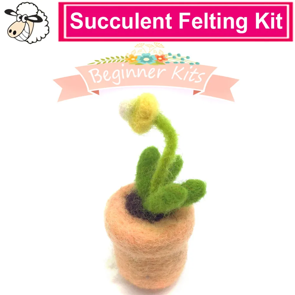 Feltsky суккулентная игла для валяния Набор DIY шерсть с 3 иглы для войлоковаляния шерсть для валяния на английском языке инструкция(6
