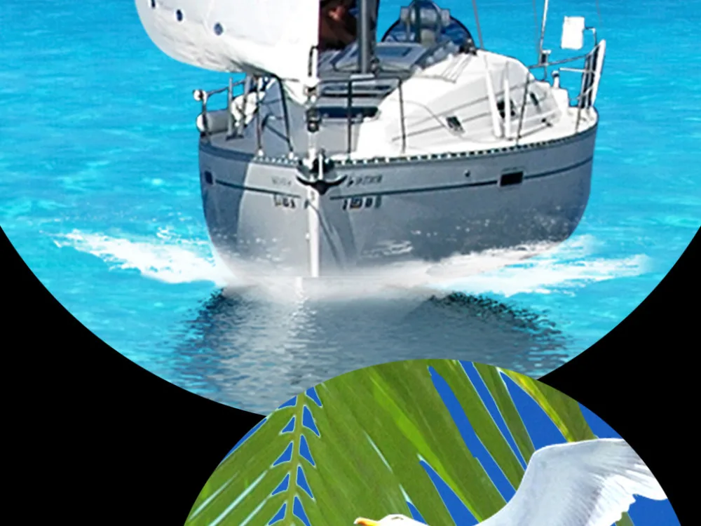 16889582-dcf849af869d599ba9fa2431d32d9c1c-5