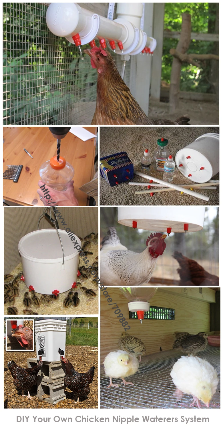 chicken nipple waterers system-aliexpress