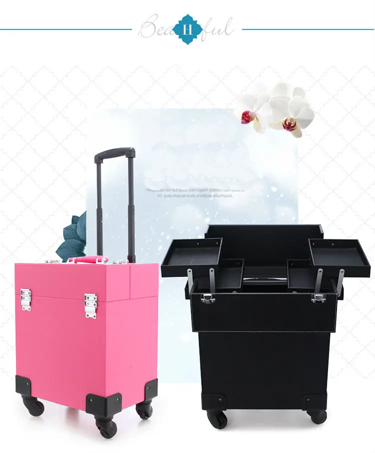 case (6)