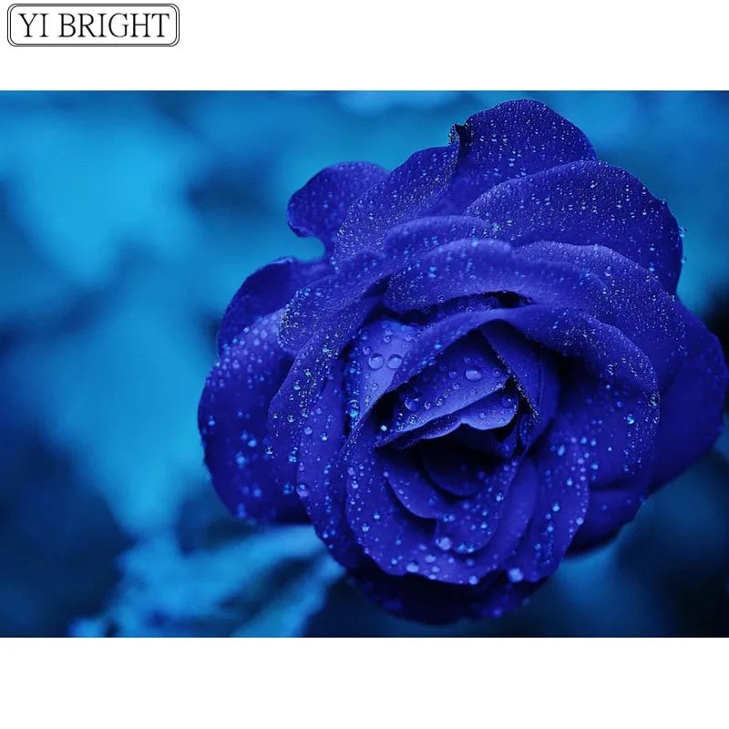 

5D DIY Full Square Diamond Painting Cross Stitch Blue enchantress 3D Diamond Embroidery Rhinestone Mosaic Home Decoration