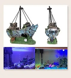 fish_07