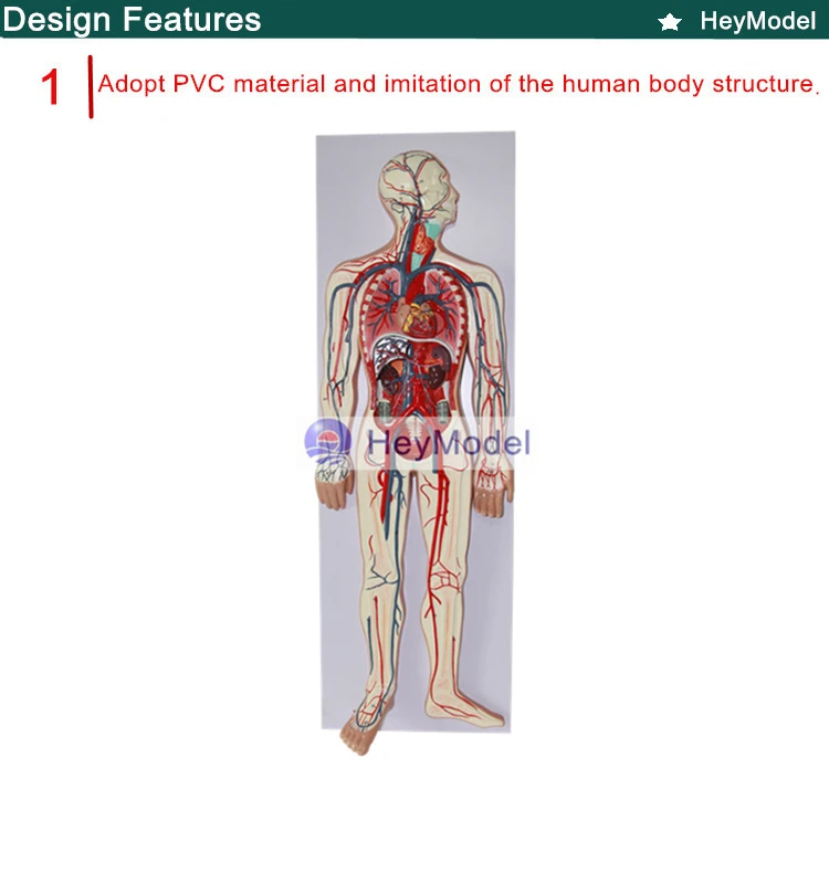 1.PVC_