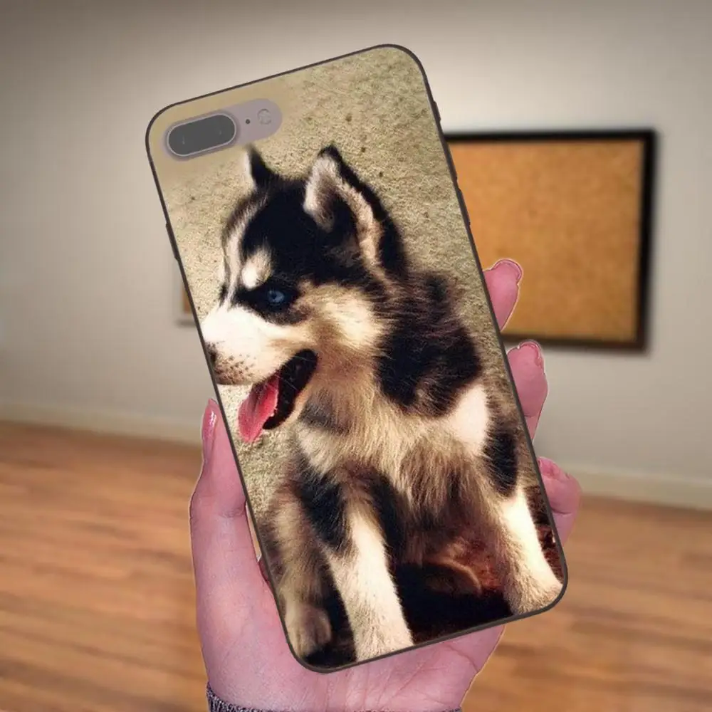 Diy рисунок ТПУ для Huawei Honor 5A 6A 6C 7A 7C 7X 8A 8C 8X 9 10 P8 P9 P10 P20 P30 Mini Lite Plus животное Хаски щенок