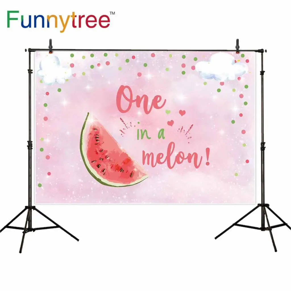 Funnytree backdrop for photographic studio Watermelon party pink sky cloud baby shower background photocall photobooth printed |