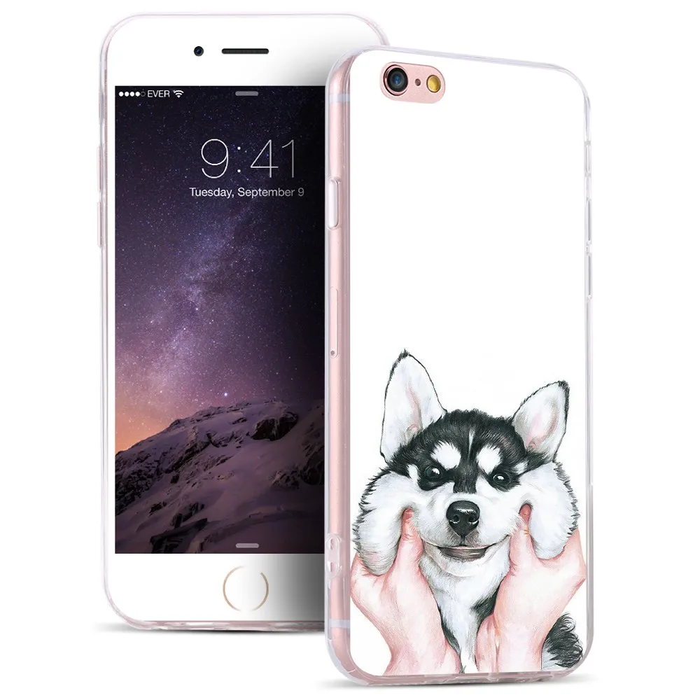 dog case (1)