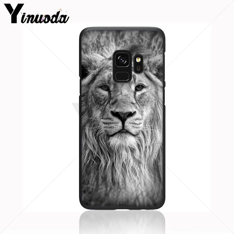 ASLAN LION THE CHRONICLES 
