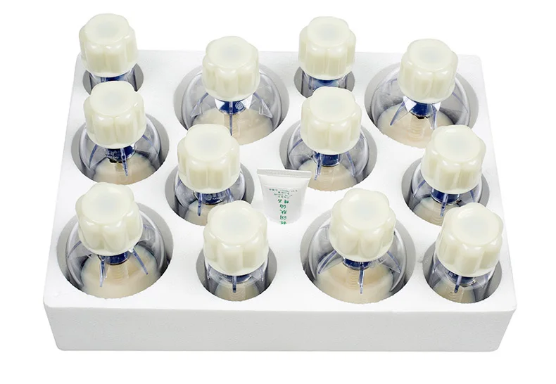 12 pcs rotary cupping kit Hand screw-type magnetic vacuum cupping acupuncture massage cup therapy 12 pcs rotary cupping kit Hand screw-type magnetic vacuum cupping acupuncture massage cup therapy