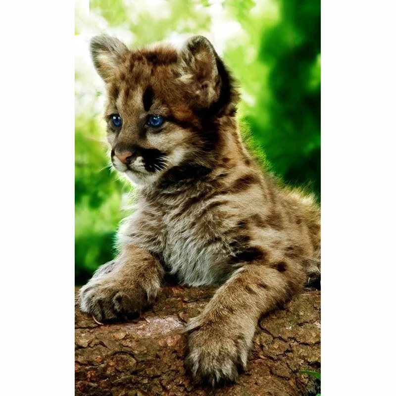 DIY The blue eye cat 5D diamond embroidery diamond painting cross stitch needlework crafts diamond mosaic square home decor