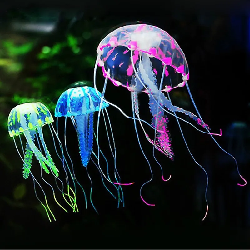 jellyfish2