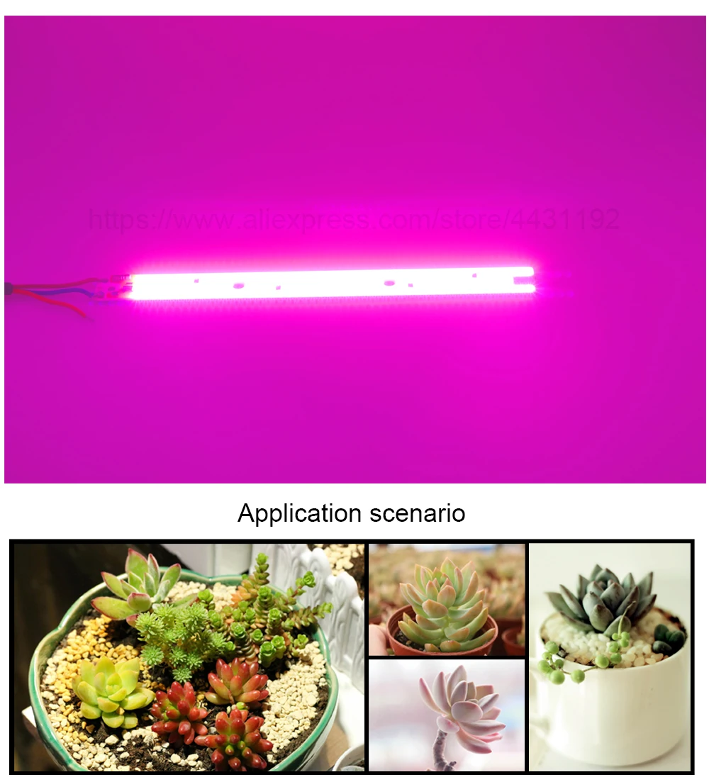 Borbede 50 вт DIY COB светодиодный светильник для выращивания растений и рассада цветов