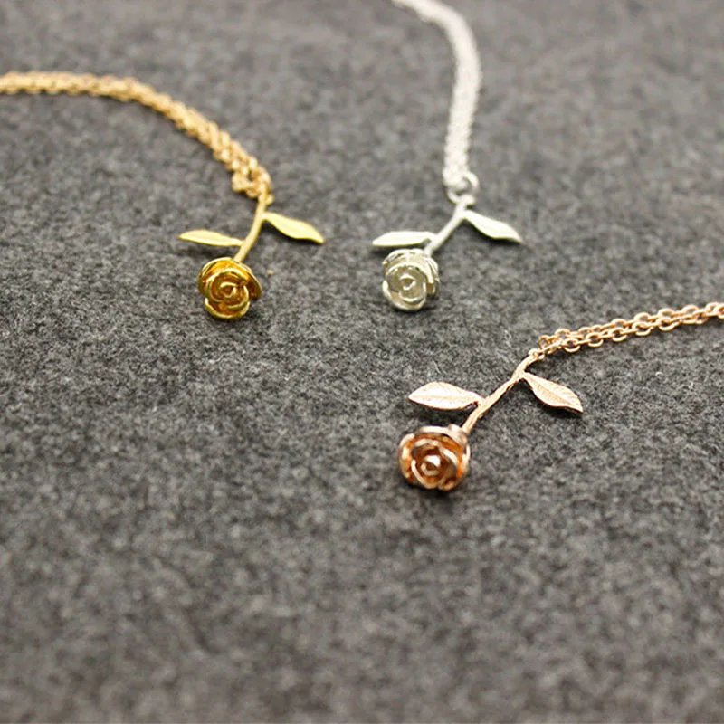 245083_no-logo_245083-1-04