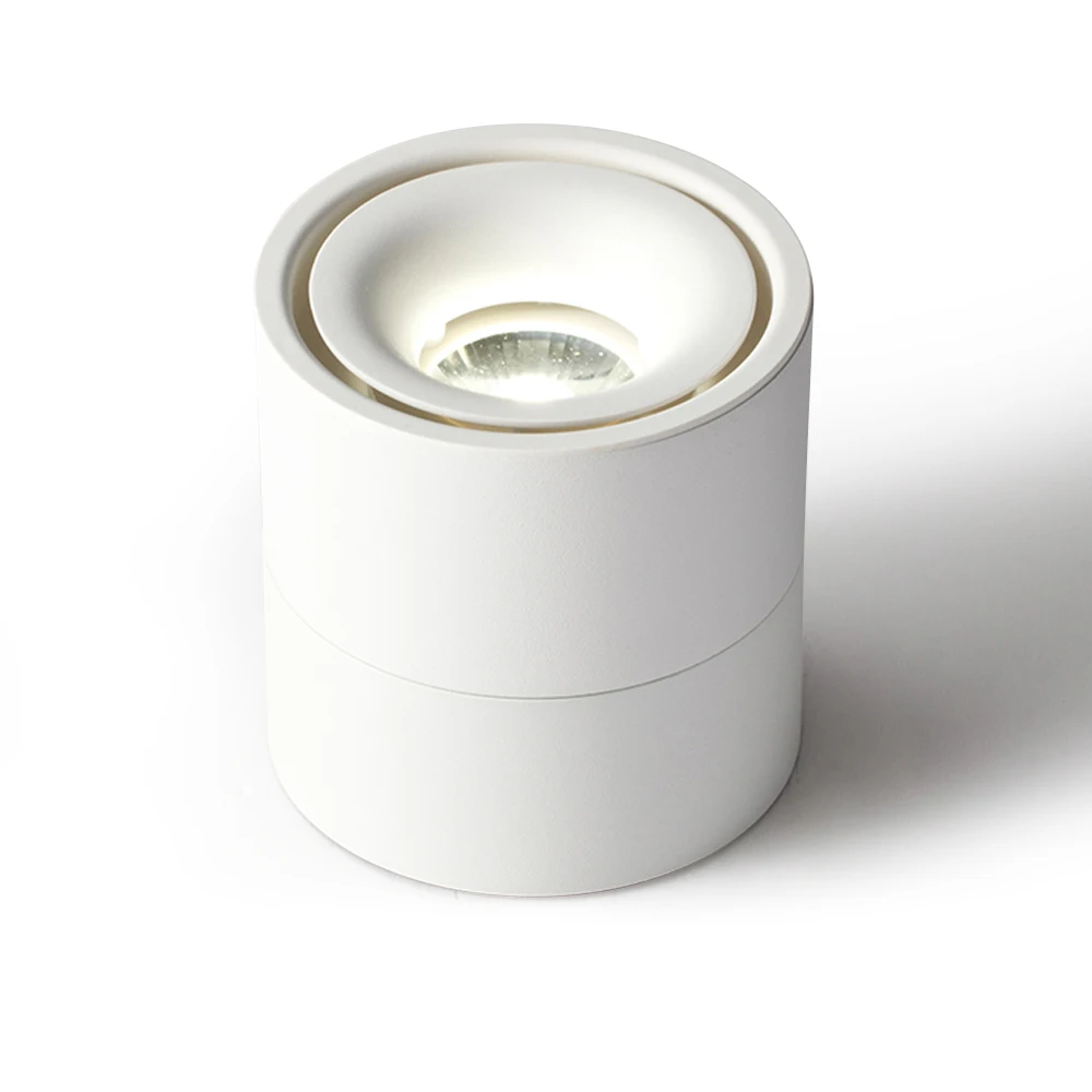 Surface downlights  (11)