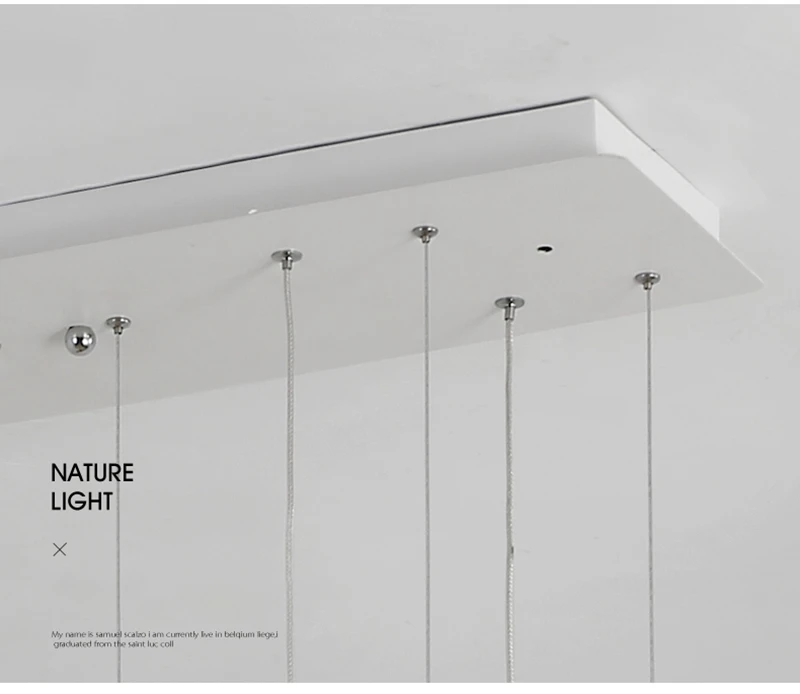 Nordic Modern Led Pendant Lights DIY Hanging Light For Dining Room Kitchen Room Cafe suspension luminaire suspendu Pendant Lamp (22)