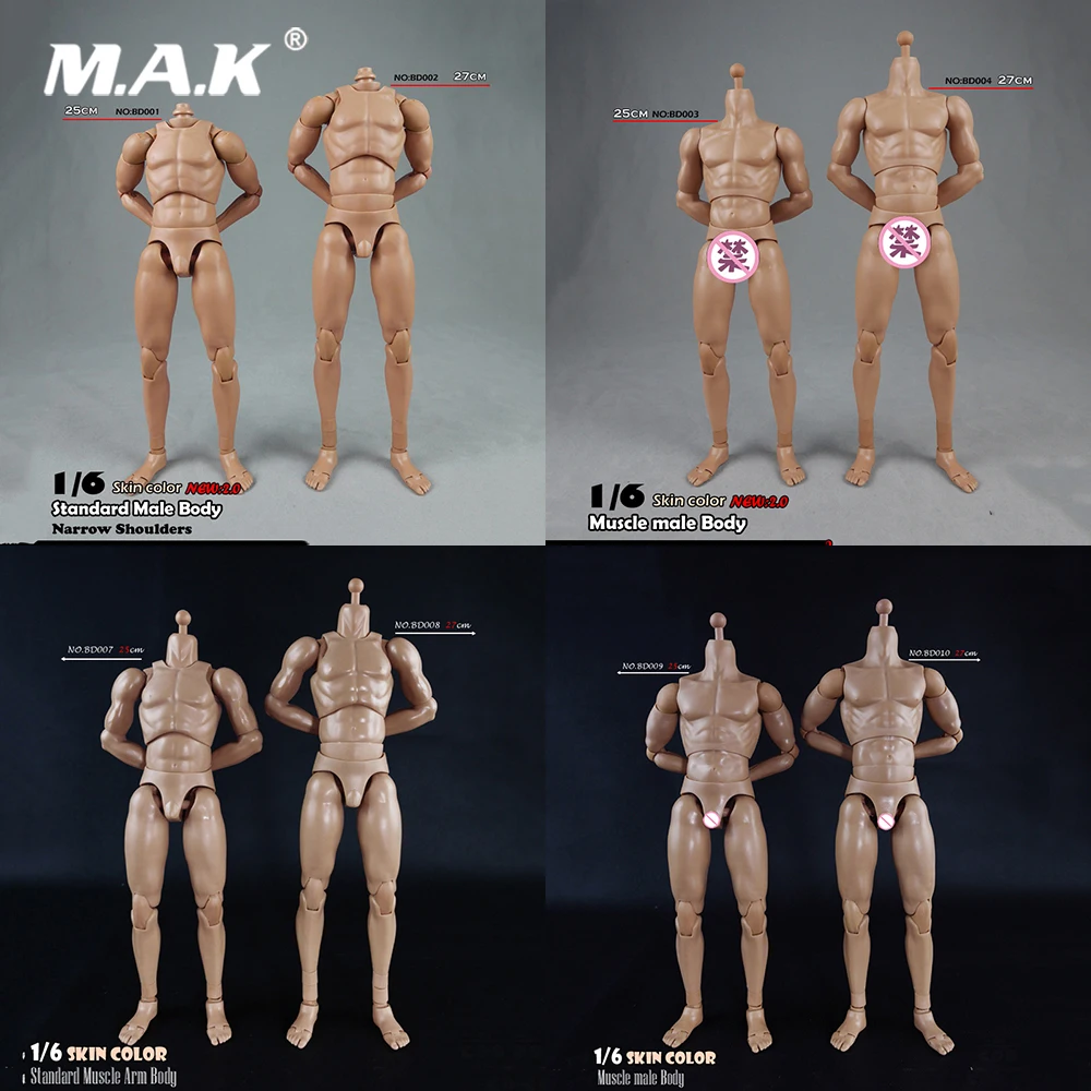 Tbleague 1//12 Corpo Maschile /& Testa modello TM01A flessibile Action Figure Bambola Giocattolo