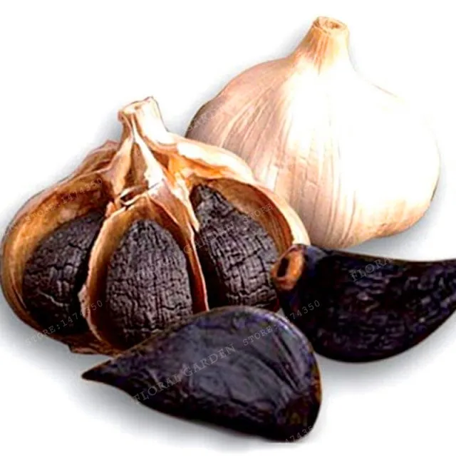 

Hot Sale100pcs New Chili Black Garlic Bonsai Giant Bonsai Japanese Rare Vegetable Home & Garden Organic Plants Anti-cancer