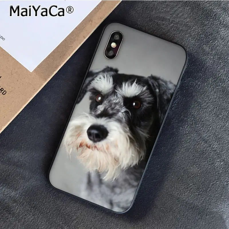 Schnauzer Puppy dog Art