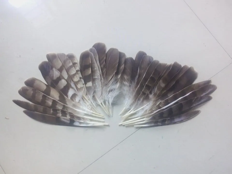 

New! 20 pc quality natural eagle feathers, 6-8inches/15-20cm long, DIY jewelry decoration
