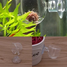 Hogar Райский лучше 1 шт. стеклянный горшок для растений керф подстаканник креветки аквариумные рыбки аквариумные кормушки