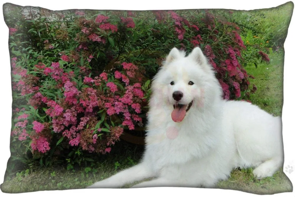 Новая Заказная наволочка для собак Samoyed прямоугольная Подушка на молнии чехлы