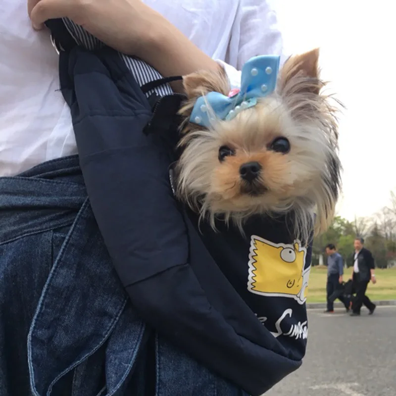 10560244629_1176366496