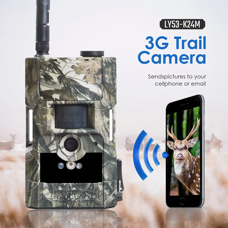 LY53-k24Mdescription1
