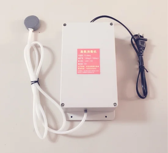 

1000mg ozone generator (220V) integrated ozone disinfection machine Vegetable & Fruit special tank