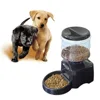 5.5L Automatic Dog Feeder with LCD Screen