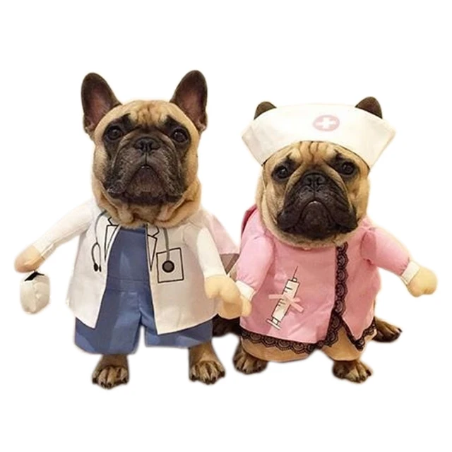 Treating Cats Like Dogs Treating Cats Like Dogs