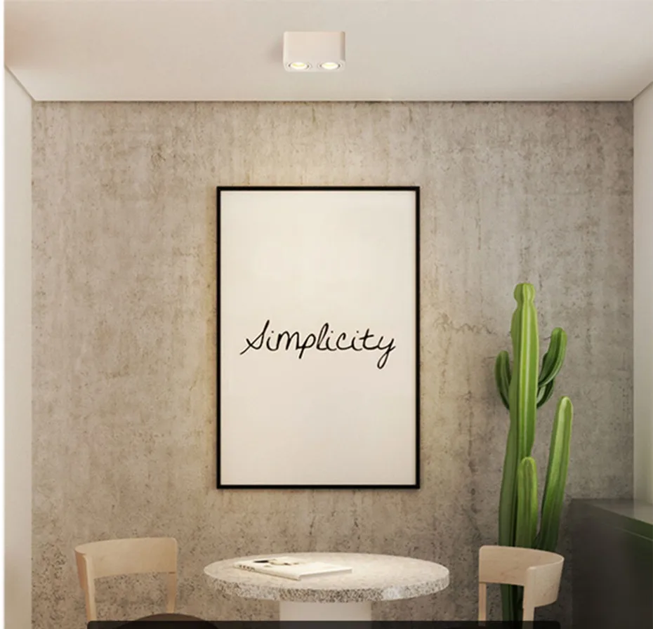 LED Surface downlight (46)