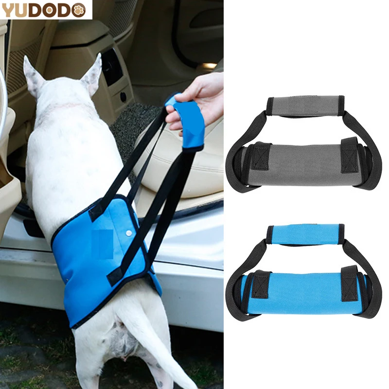 

Dog Assists Harness with Handle For Old Injuried Arthritis Weak Hind Legs Dogs Pet Chest Strap Lift Support Harnesses S/M/L/XL