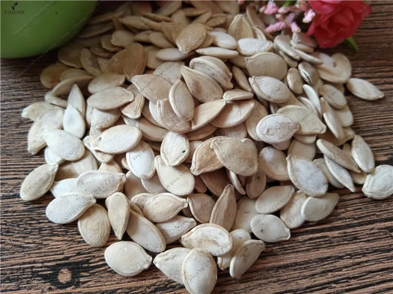 A still of Pumpkin Seeds