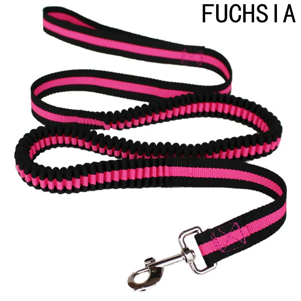 4 Color Dog Leads Hands Free Pets Dog Leash For Running Walking Hiking