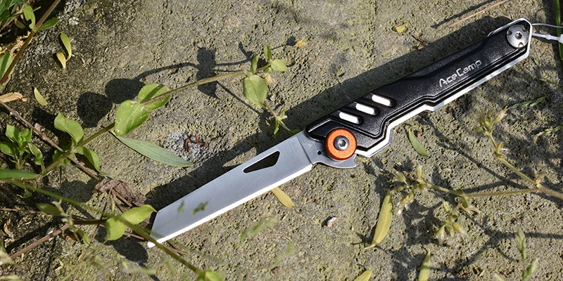 CHR_0542