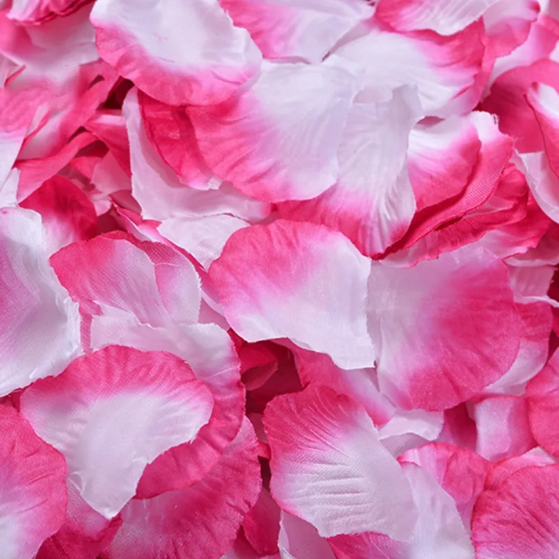 

100PCS Multicolor Petals for Valentine's Day Wedding Festival Party Confetti Decor Artificial Silk Rose