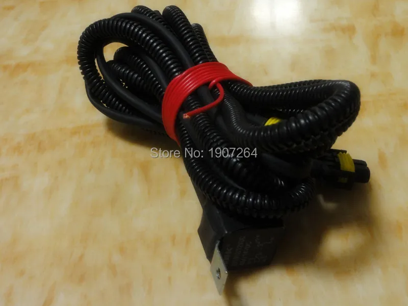 SL218-004.jpg