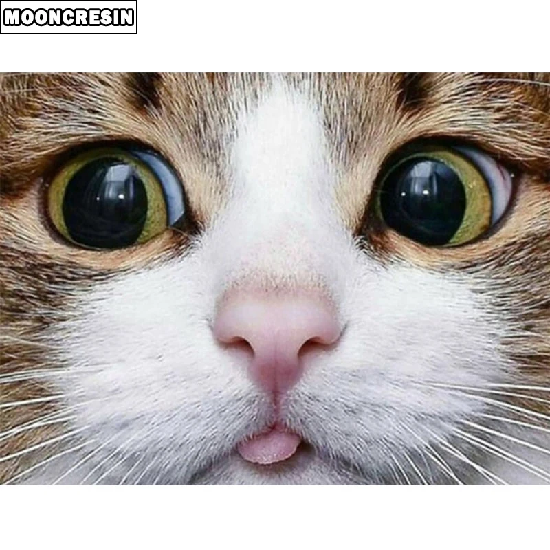 558