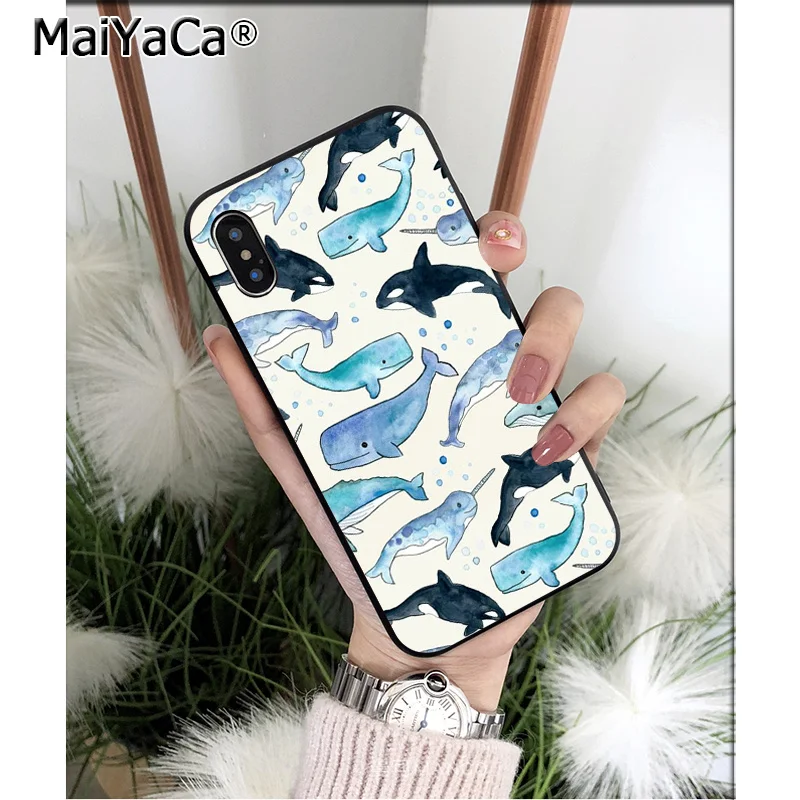 Ocean Whale Animal