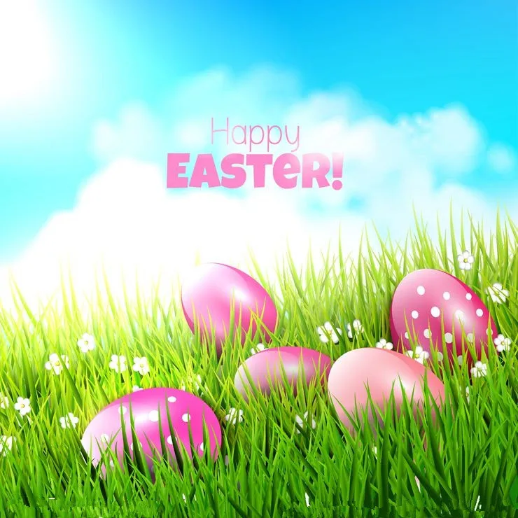 

10x10ft Vinyl Custom Photography Background Props Easter Photography Backdrops EFH-157