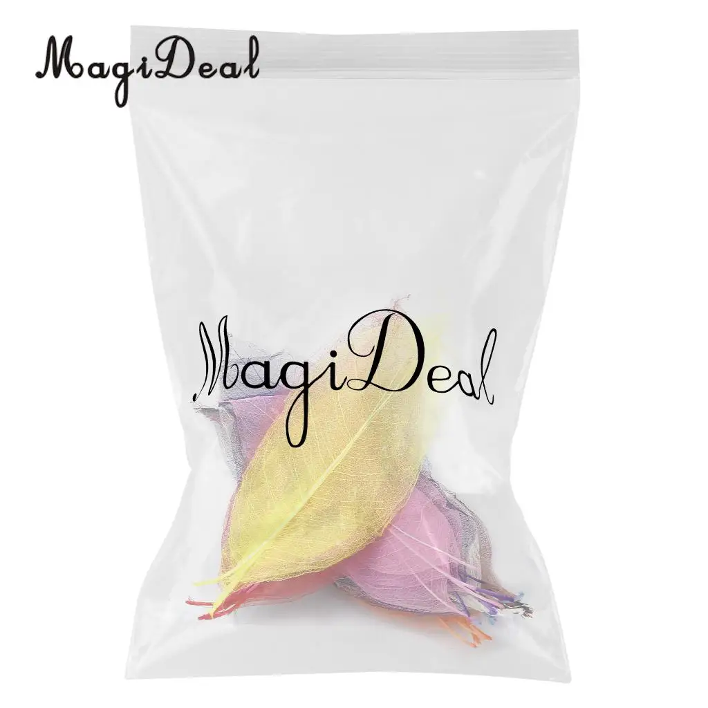 MagiDeal 50Pcs Natural Magnolia Skeleton Leaf Leaves Card Scrapbook - Mixed Color Decorate Cards Candles Packages