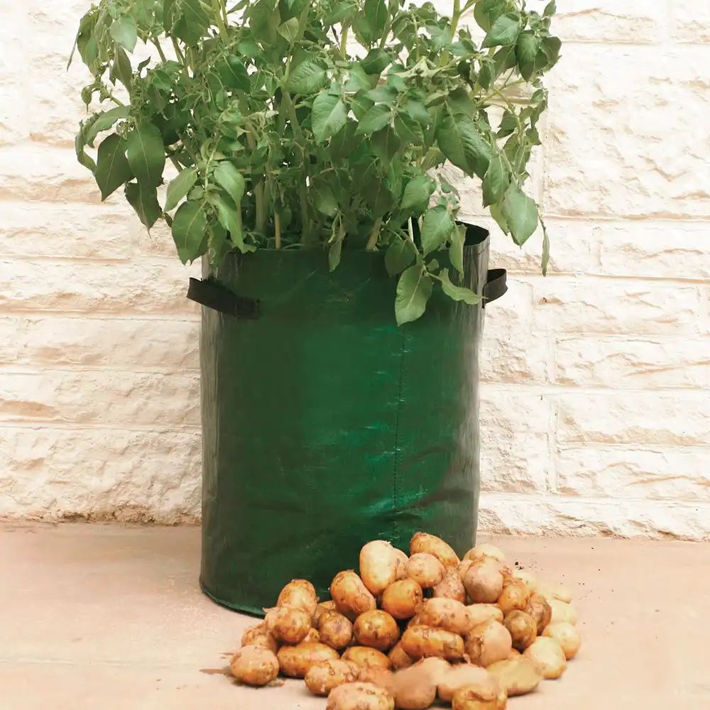 Good Pe Grow Bags For Plants Tomato Potato Grow Bag 7 Gallon Pe