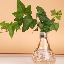 Прозрачная настольная стеклянная ваза форма лампы гидропоники контейнеры для террариума растение цветочный горшок ваза домашний офис Декор