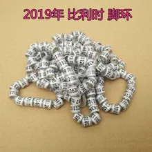 8 мм внутренний размер кольца кольца голубь белый BELG птицы кольцо 500 шт./лот