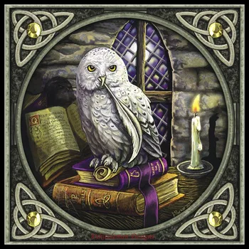 

Embroidery Counted Cross Stitch Kits Needlework - Crafts 14 ct DMC DIY Arts Handmade Decor - Snowy Owl