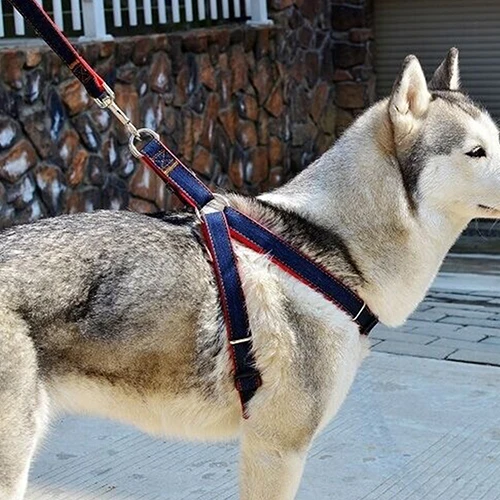 

Pet Dogs Walking Hand Grip Straps Pulling Harness Leash Dog Adjustable Belt