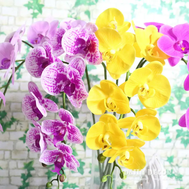 TB2N29wXZaJ.eBjy0FbXXcwrFXa_!!54150277